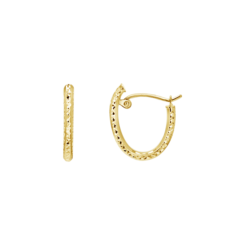 Oval Hoop Earrings N6045