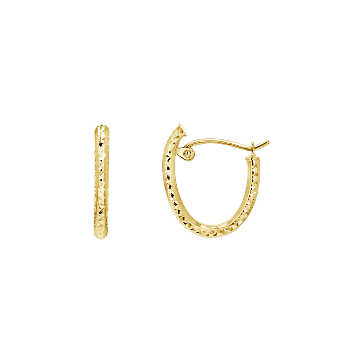 Oval Hoop Earrings N6045