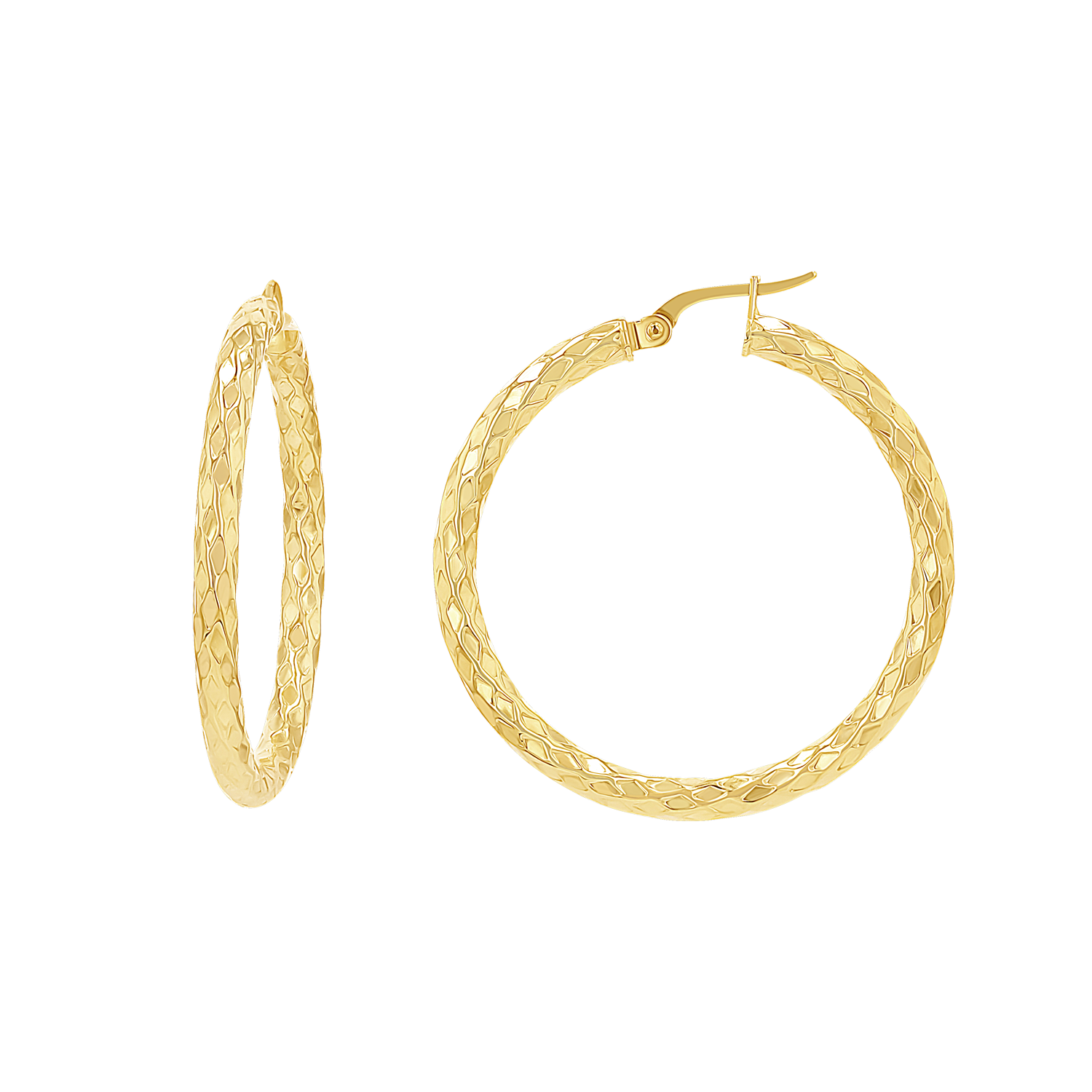 Serpentine Faceted Hoop Earrings O274