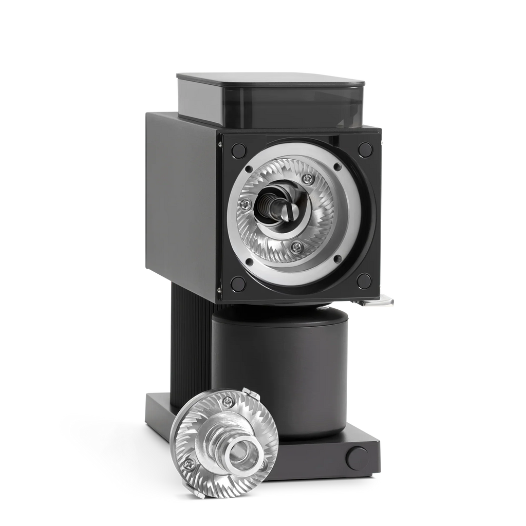 Standard Brew Burrs P458