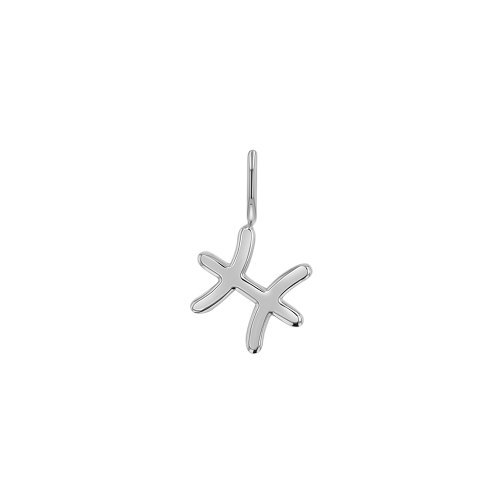 Zodiac Charm Z231706