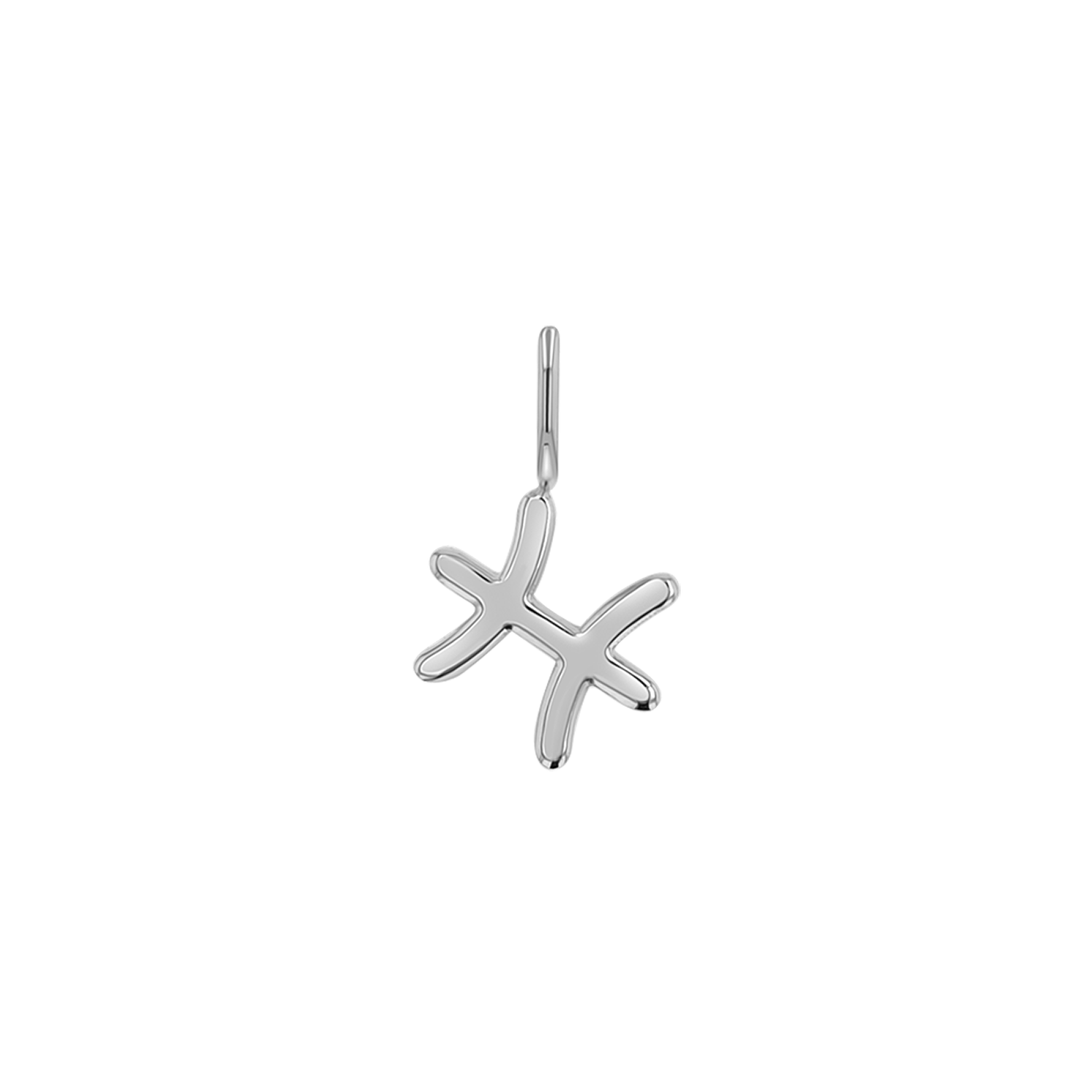 Zodiac Charm Z231706