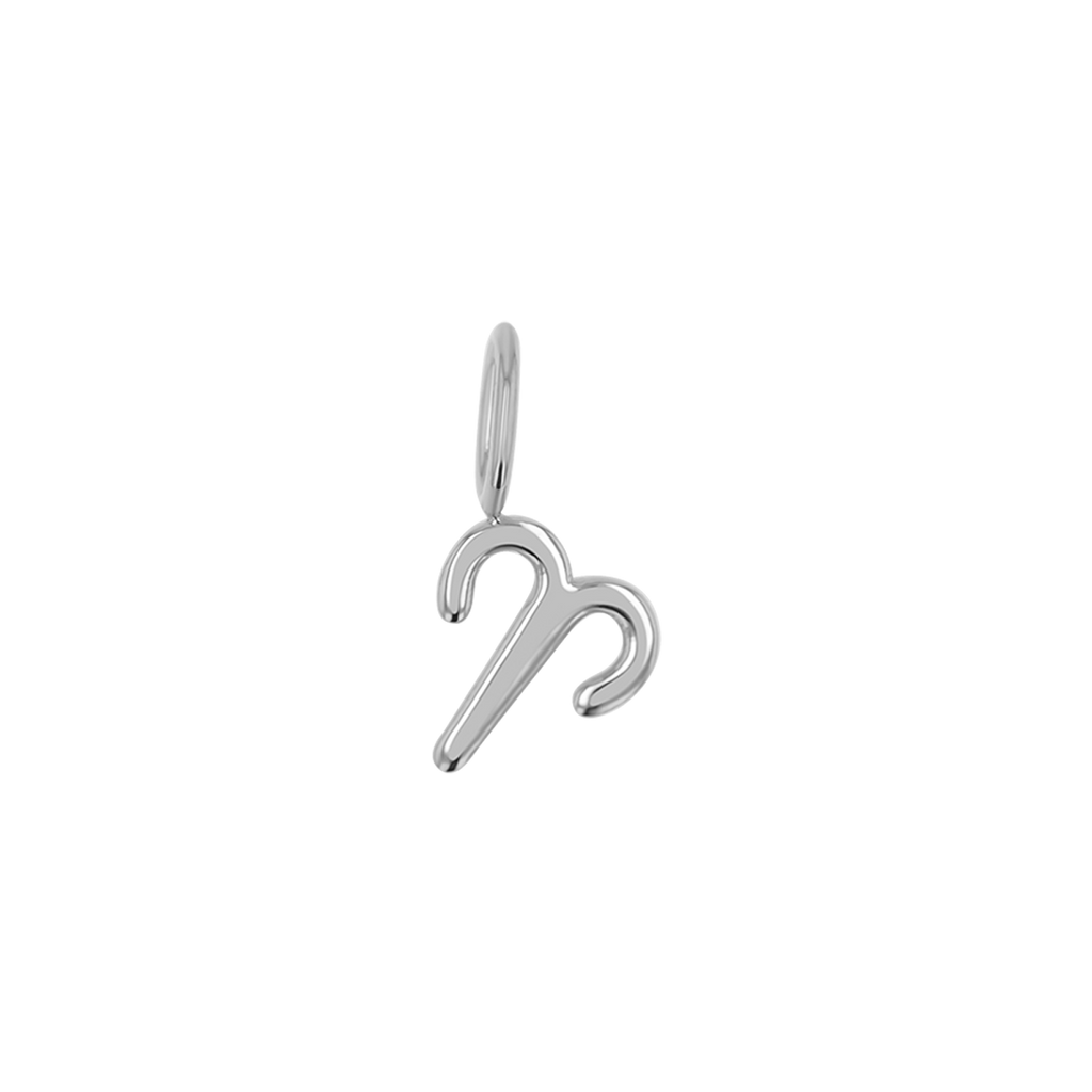 Zodiac Charm Z231706