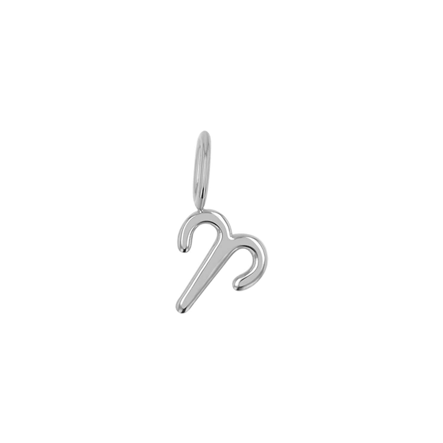 Zodiac Charm Z231706