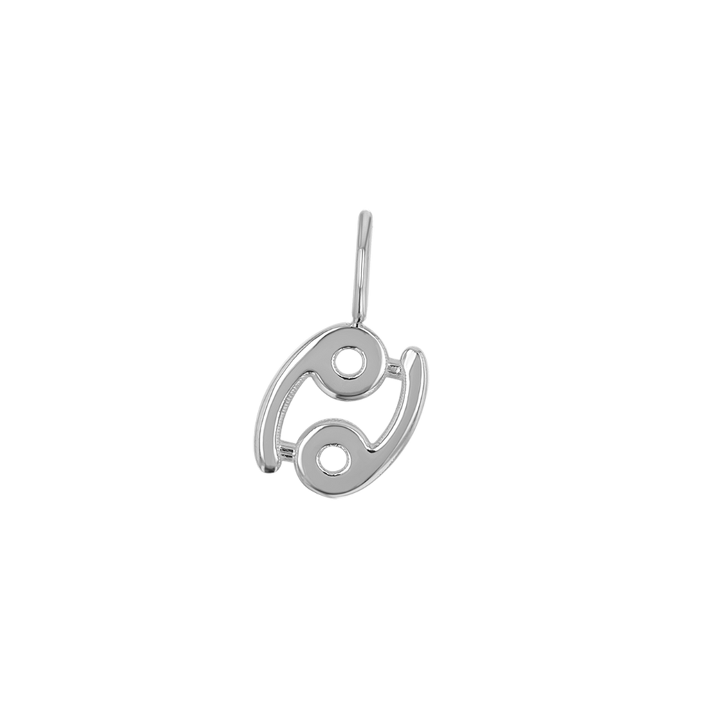 Zodiac Charm Z231706