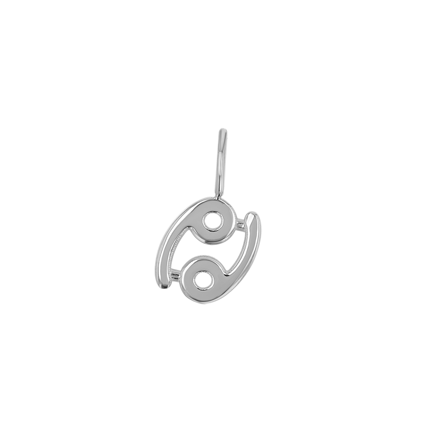 Zodiac Charm Z231706