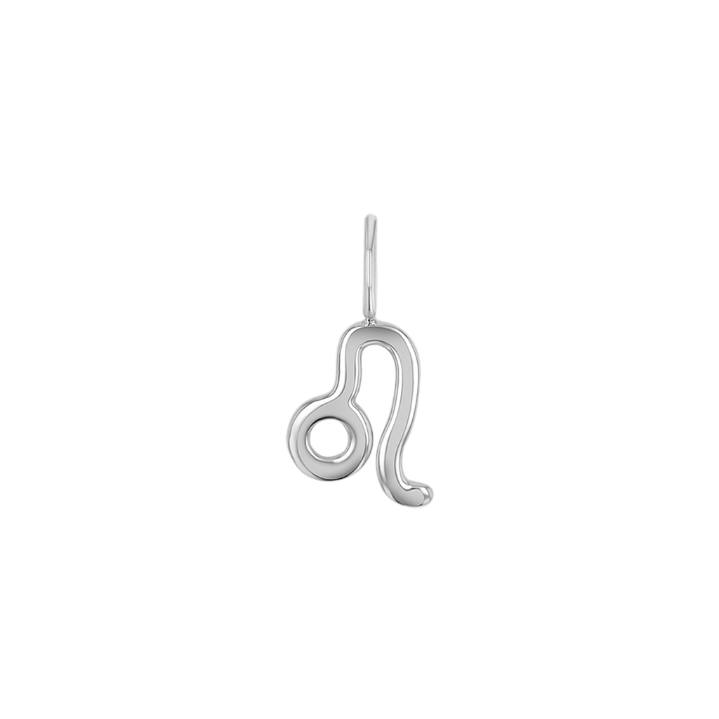 Zodiac Charm Z231706