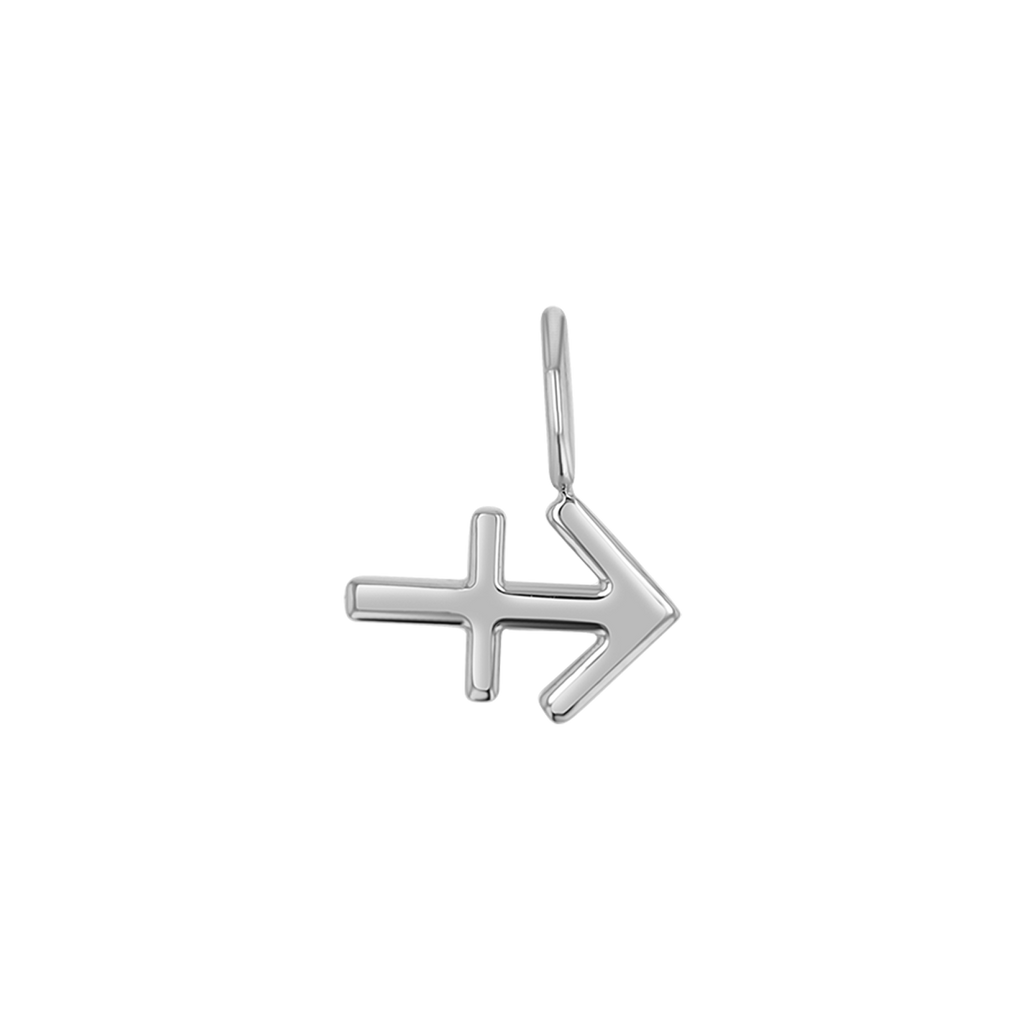 Zodiac Charm Z231706