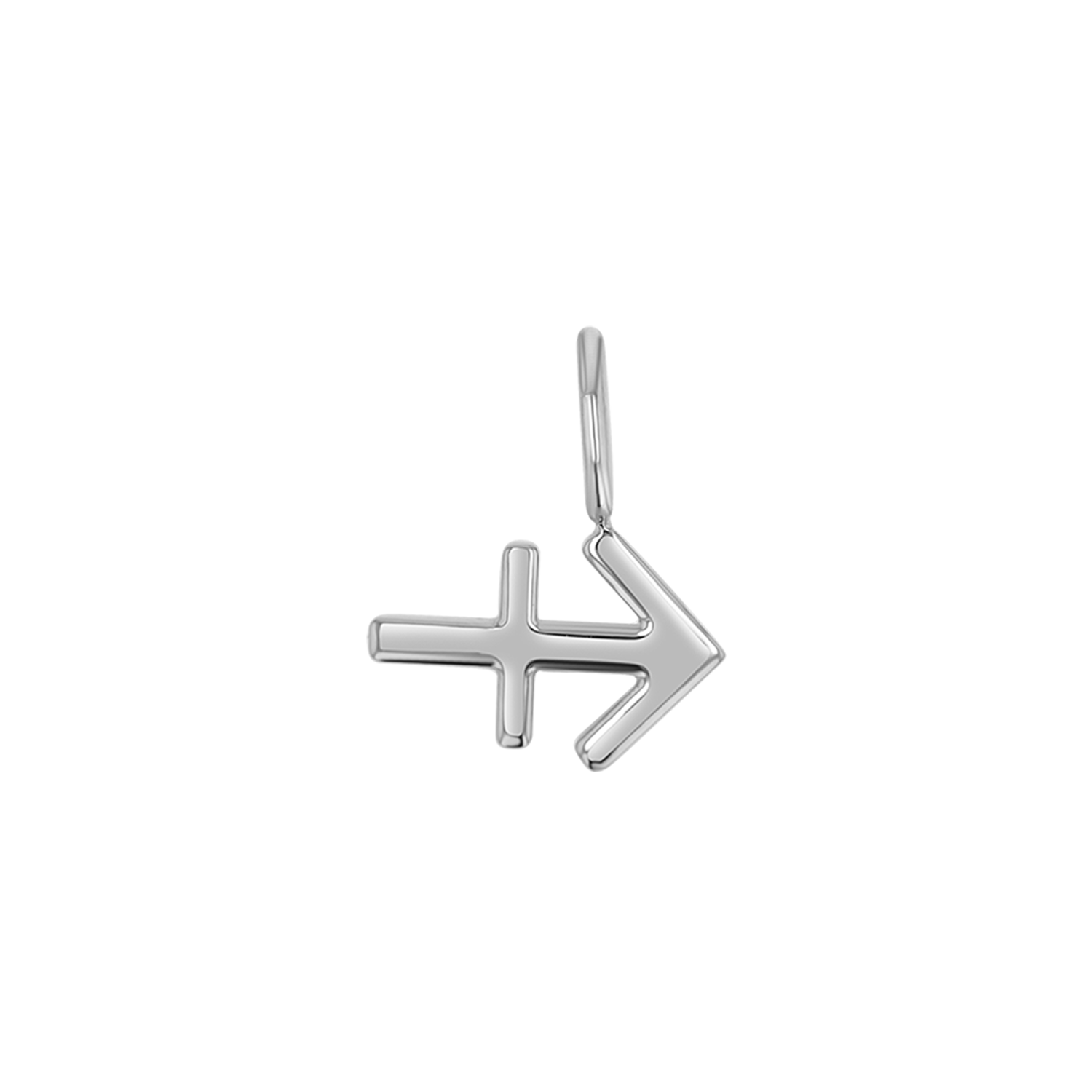 Zodiac Charm Z231706