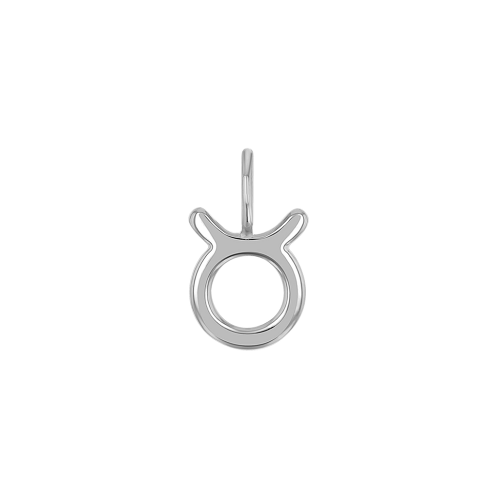 Zodiac Charm Z231706