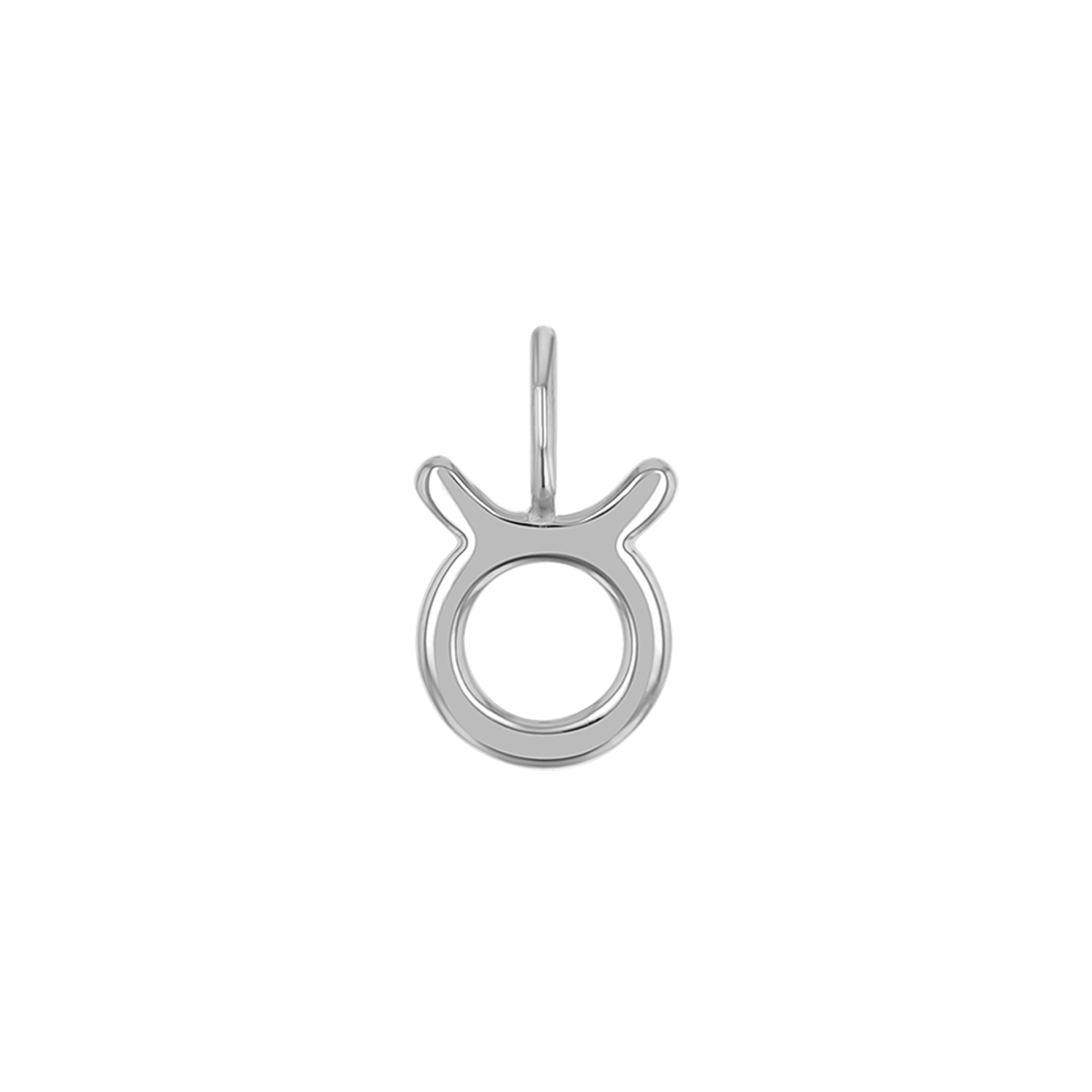 Zodiac Charm Z231706