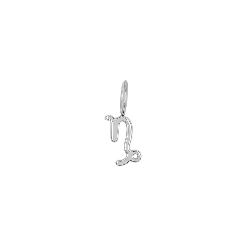 Zodiac Charm Z231706