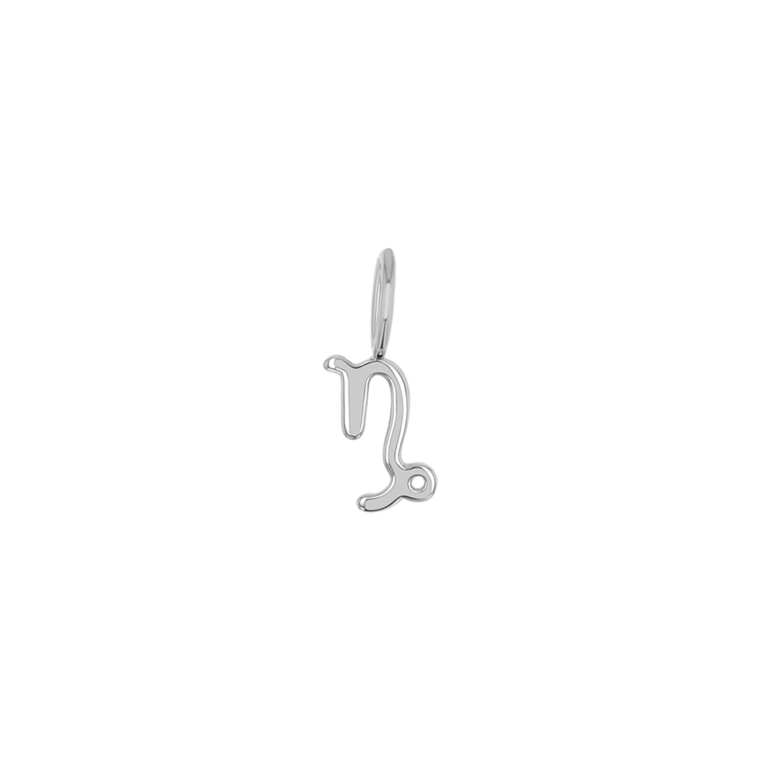 Zodiac Charm Z231706