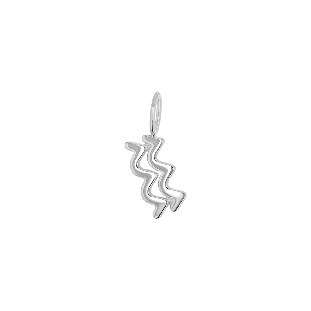 Zodiac Charm Z231706