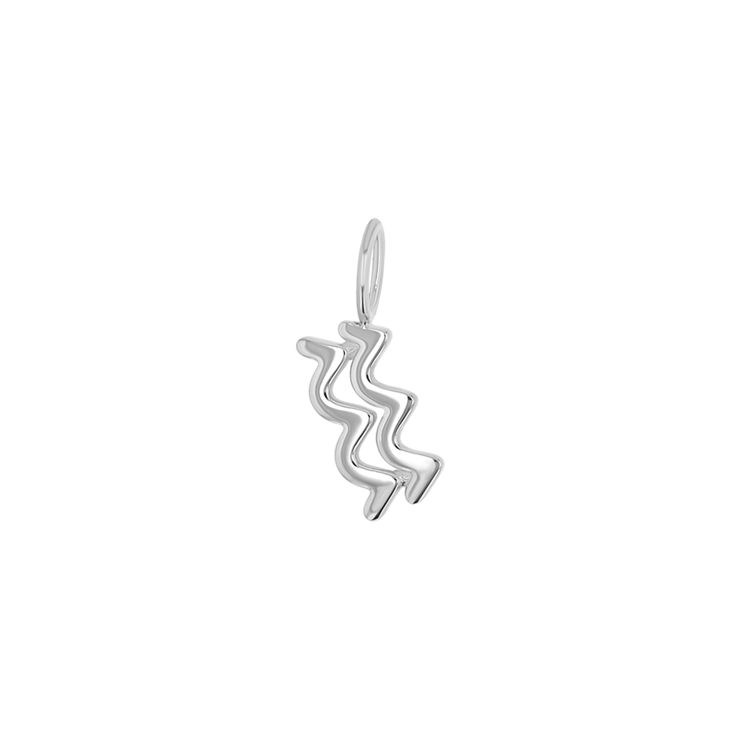 Zodiac Charm Z231706