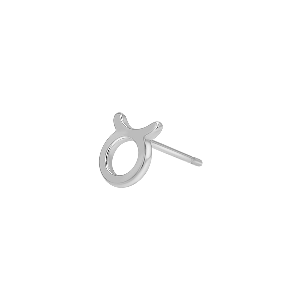 Zodiac Stud Earrings Y107