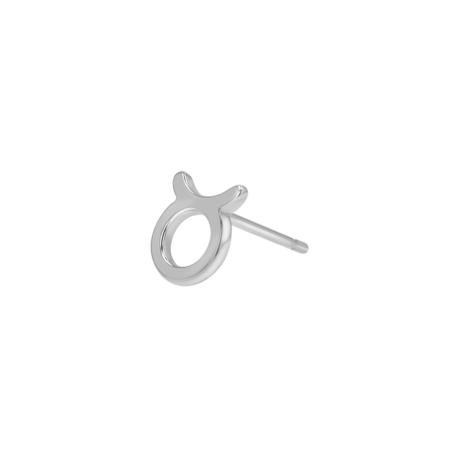 Zodiac Stud Earrings Y107
