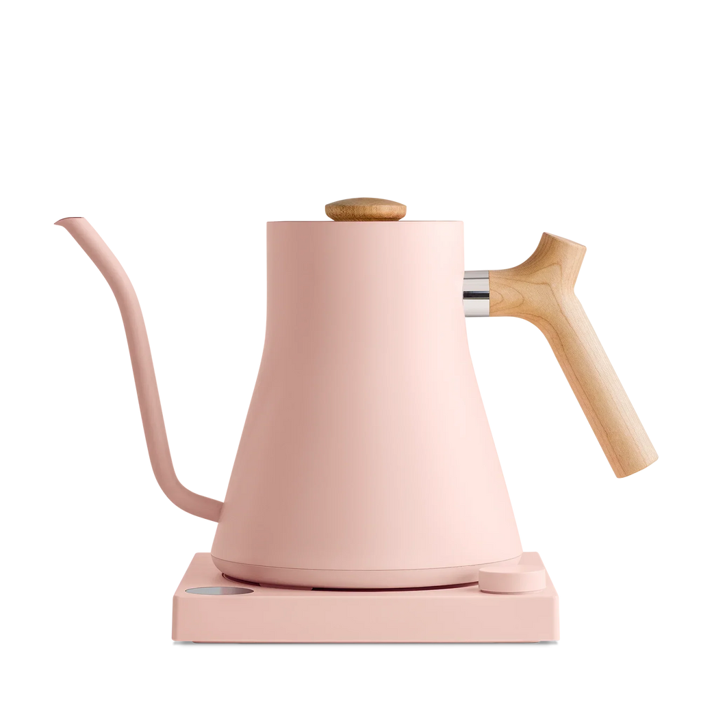 Electric Kettle E208078