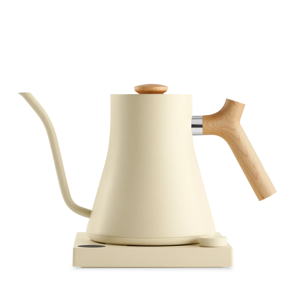Electric Kettle E208078