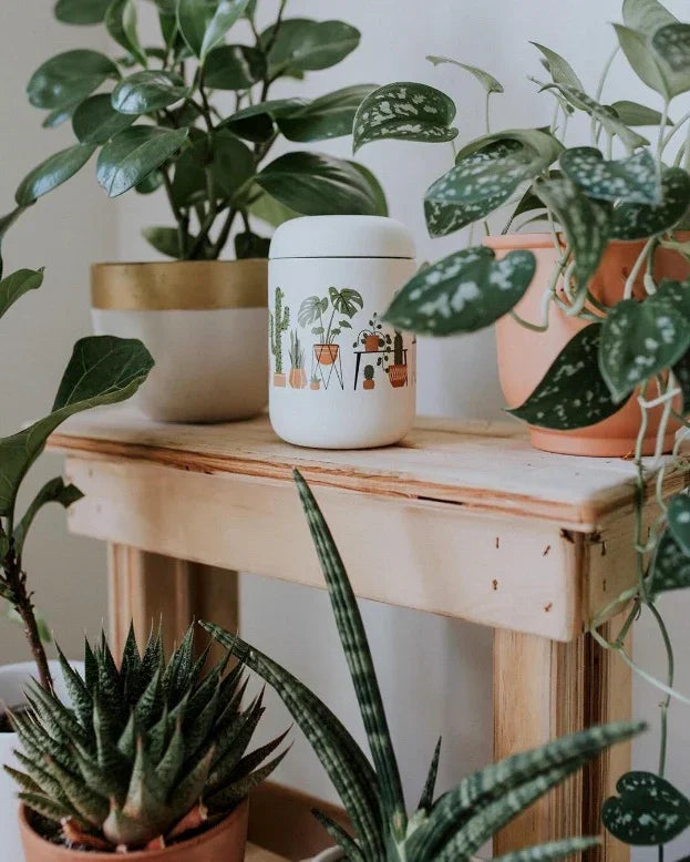 Wide Mug for Houseplants O117590