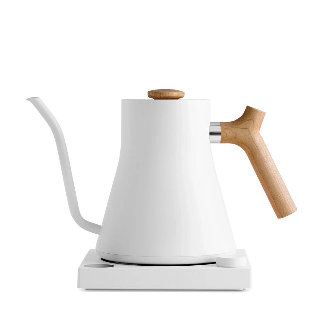 Electric Kettle E208078